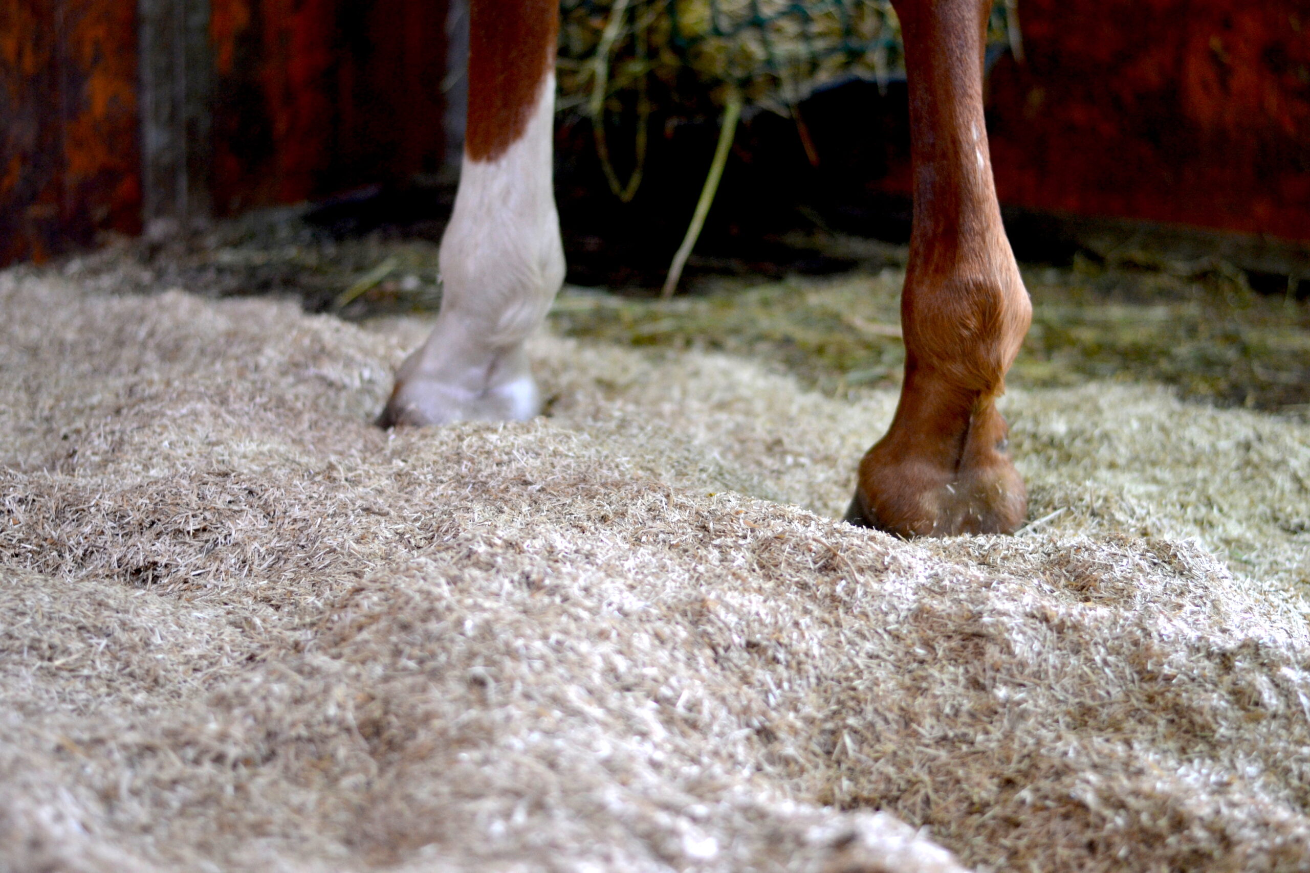 Ściółka lniana Jopack waga 20 kg - obrazek 2