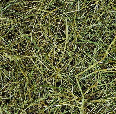 Siano dla Koni 18 kg TOP HAY JOPACK - obrazek 2