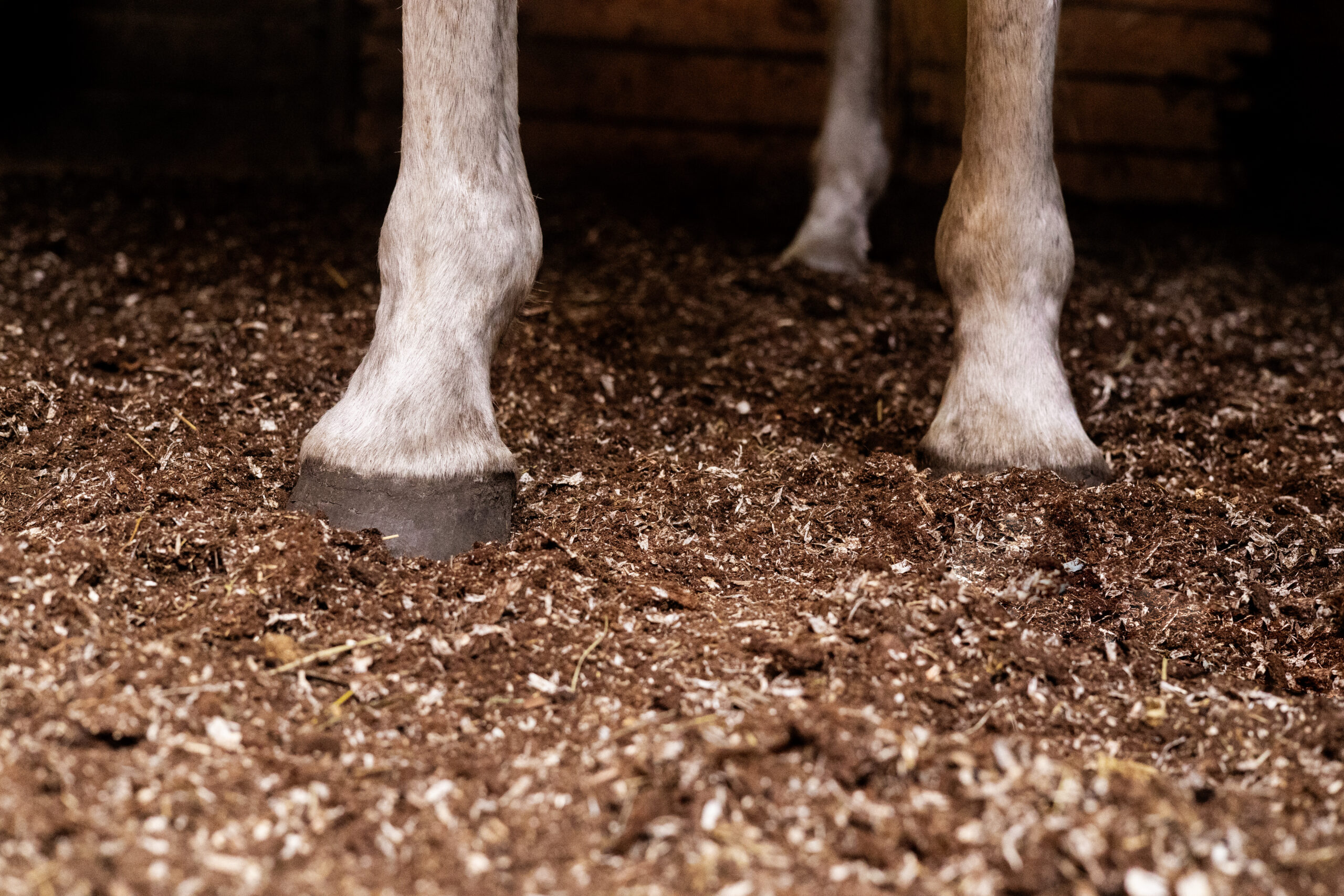 TorfMIX (mieszanka torfowo wiórowa) waga 30 kg - obrazek 5