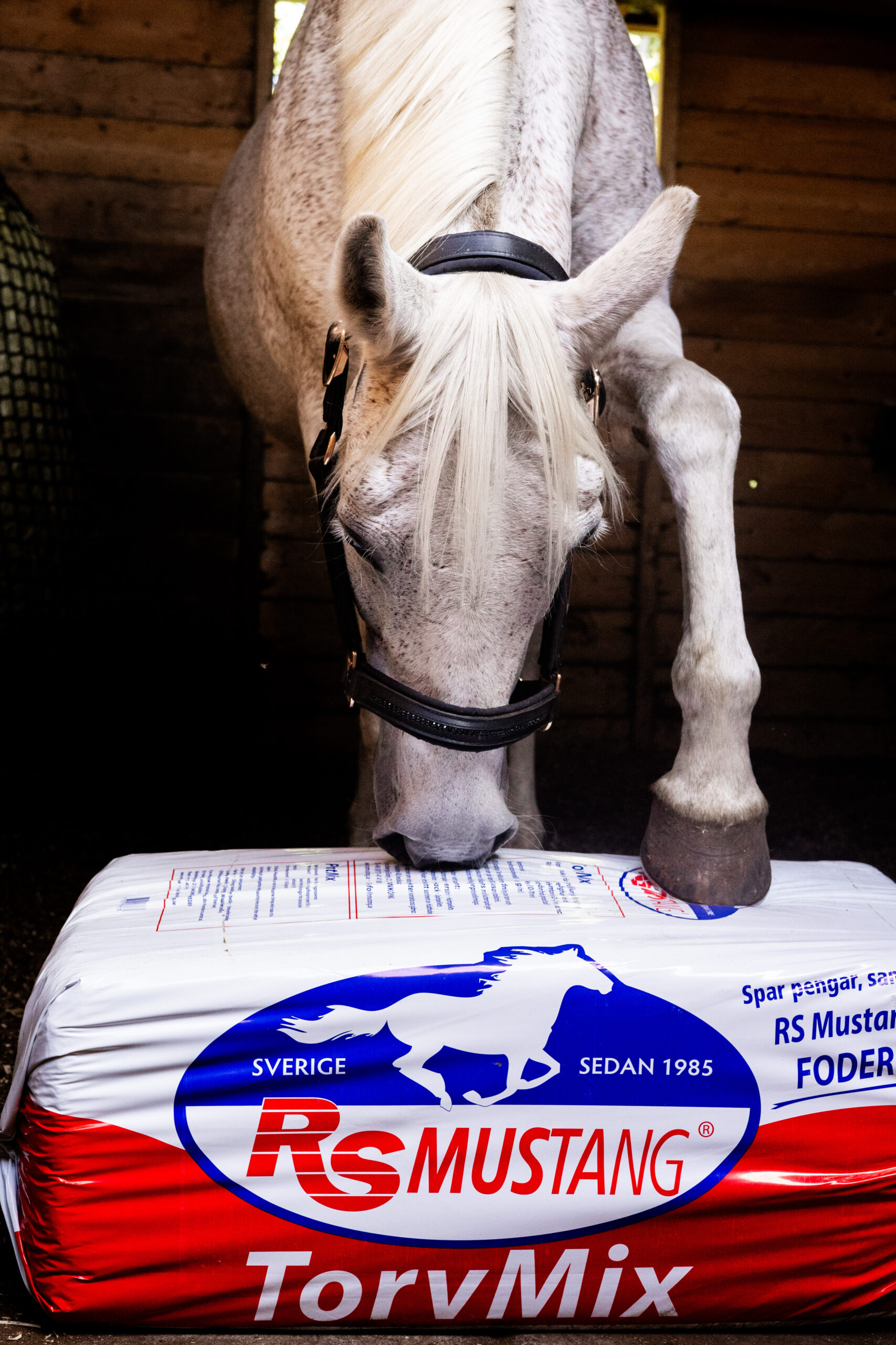 TorfMIX (mieszanka torfowo wiórowa) waga 30 kg - obrazek 3