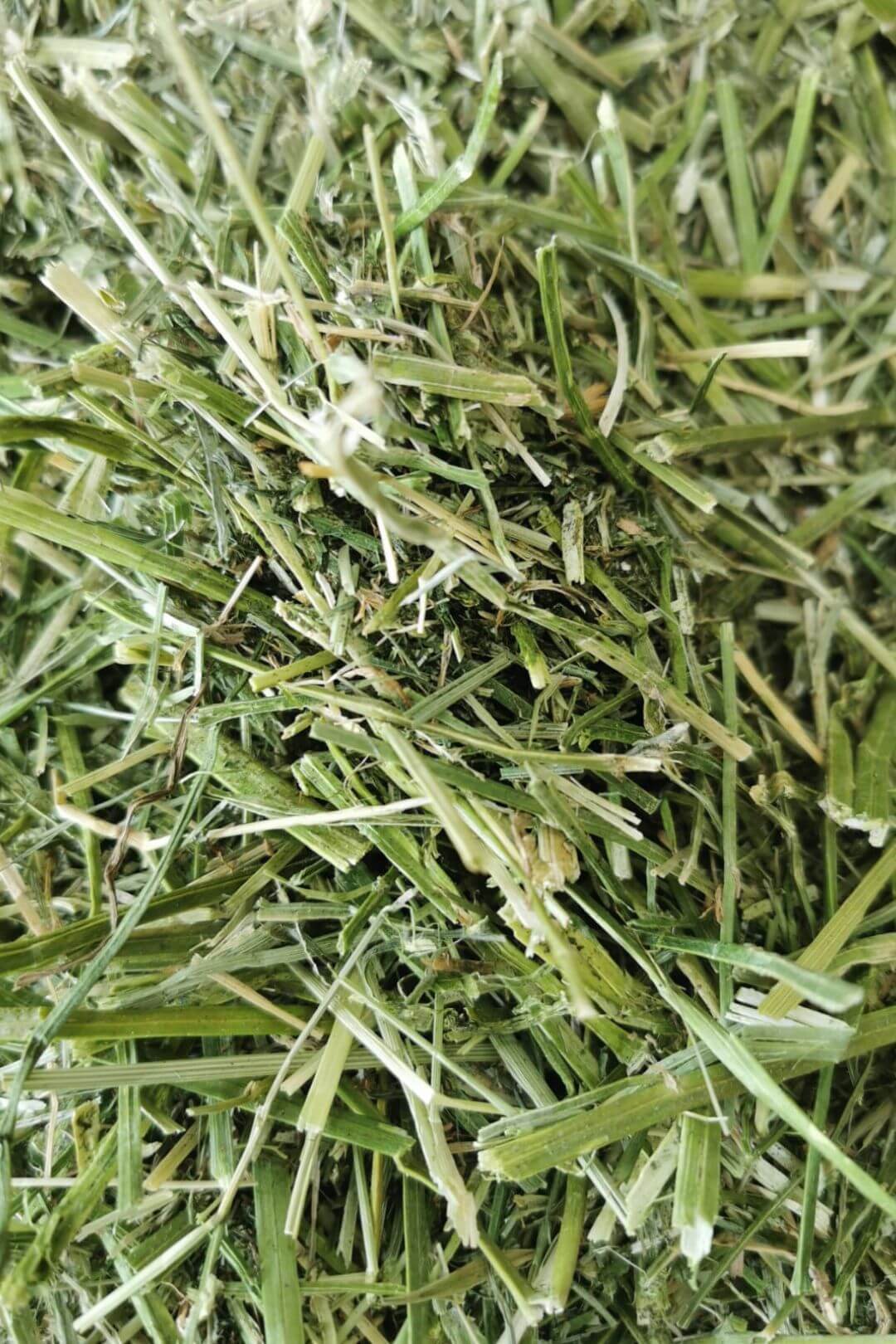 Sieczka z lucerny NordicGrass 15 kg - obrazek 4