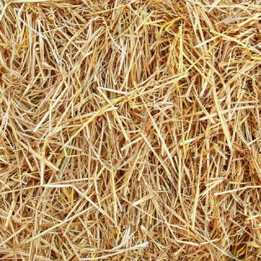 Słoma pszenna długa 10 kg - obrazek 3