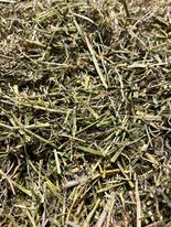 Sieczka z lucerny NordicGrass 15 kg - obrazek 5