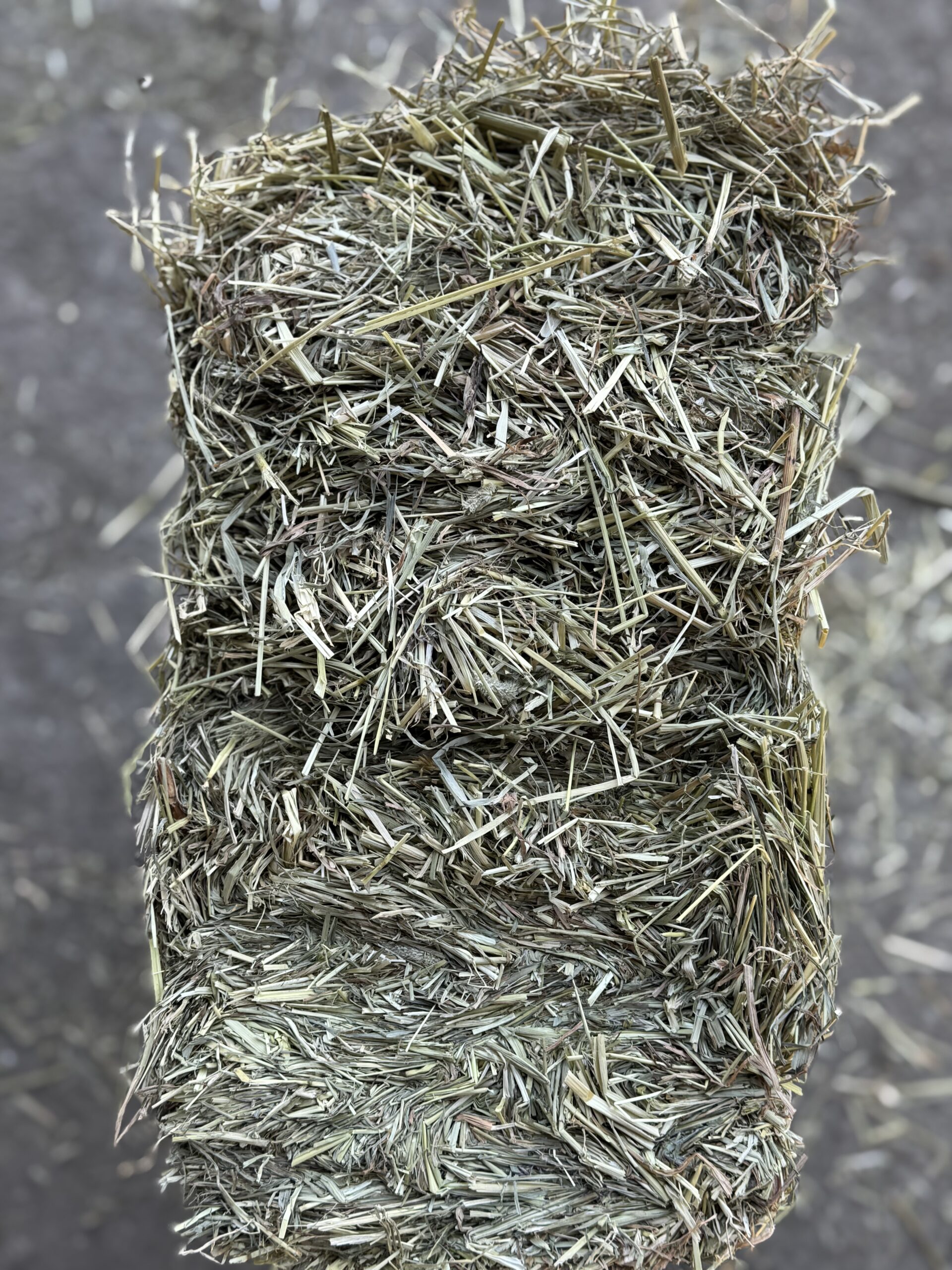 Siano DELUX 18 kg - obrazek 2