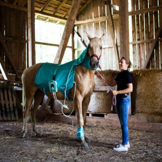 Derka magnetyczna Biomag VET dla konia - wypożyczenie