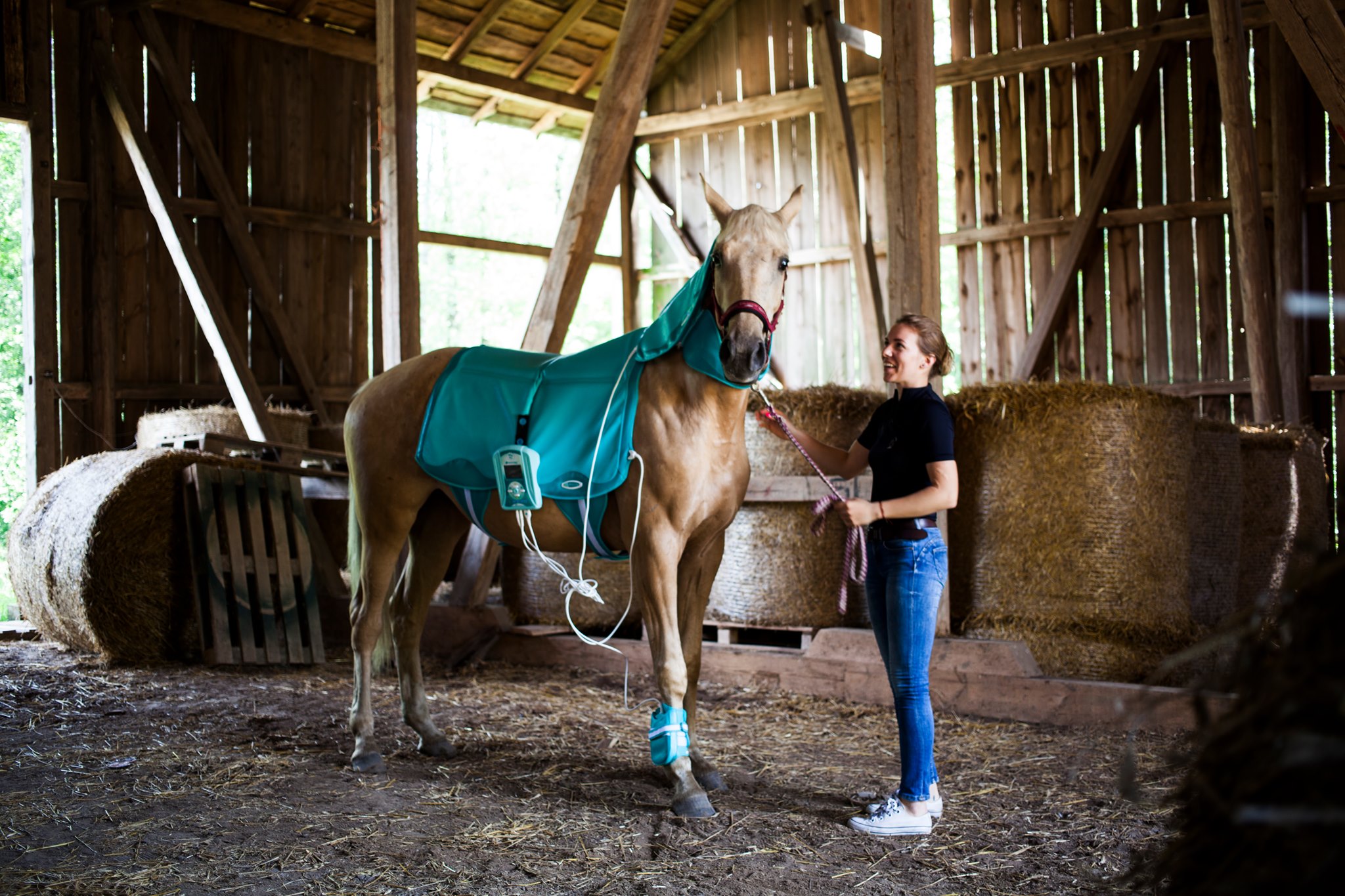 Derka magnetyczna Biomag VET dla konia - wypożyczenie