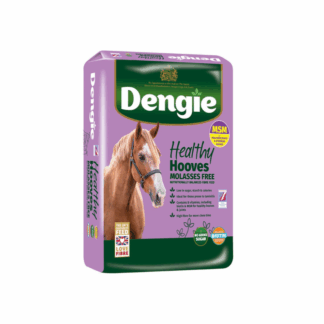 Dengie Healthy Hooves Molasses Free z MSM 20kg - sieczka dla koni z dodatkiem biotyny