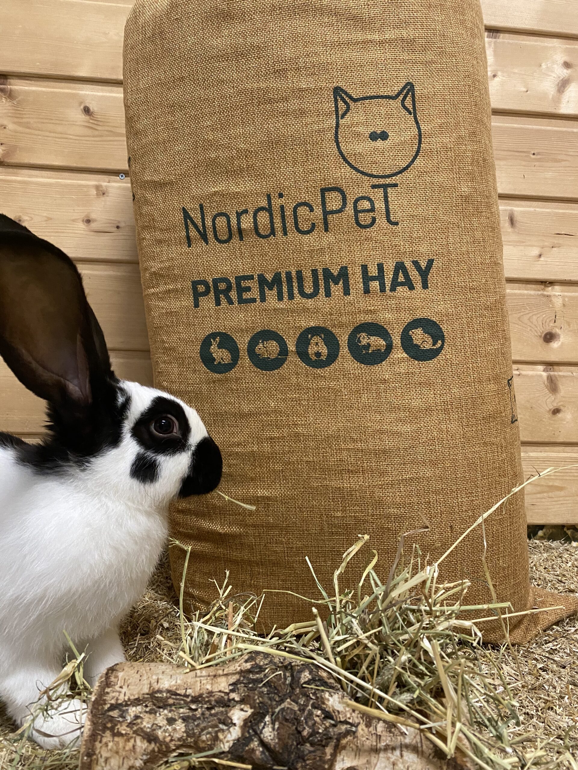 NordicPet Siano tymotkowe 5 kg - obrazek 2