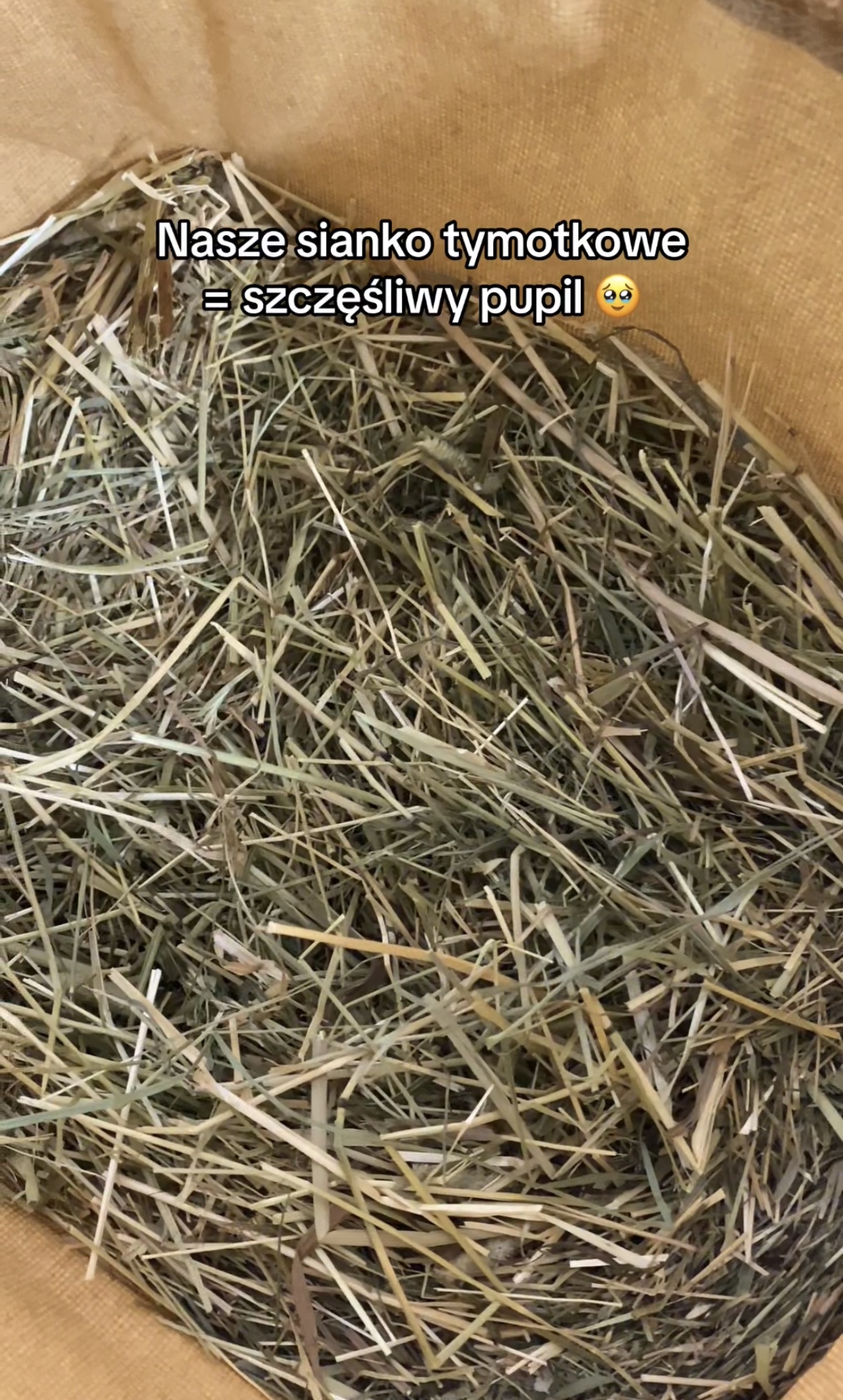 NordicPet Siano tymotkowe 5 kg - obrazek 3