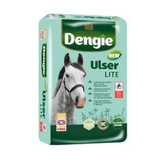 Dengie Ulser Lite 20kg - niskokaloryczna sieczka dla koni z problemami gastrycznymi